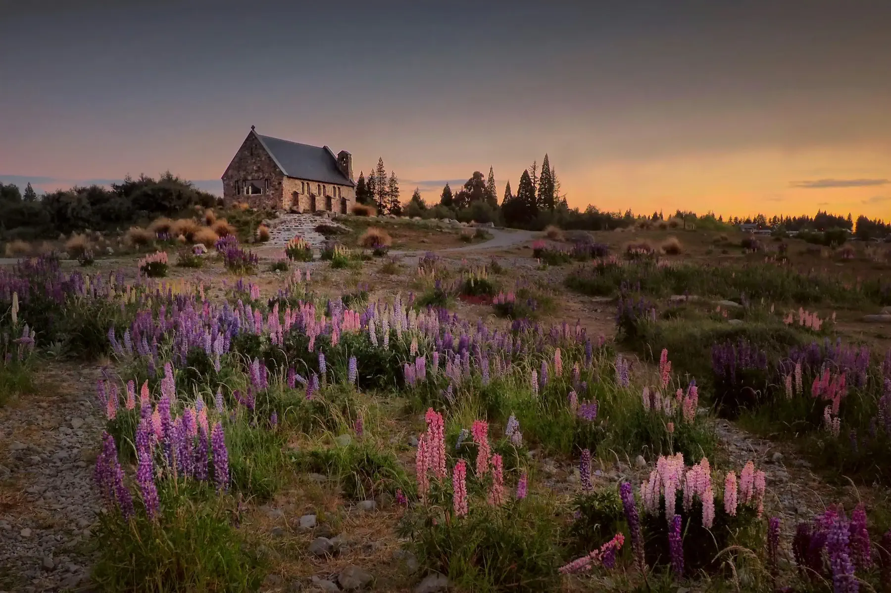 Hillside building in Lake Tekapo, New Zealand